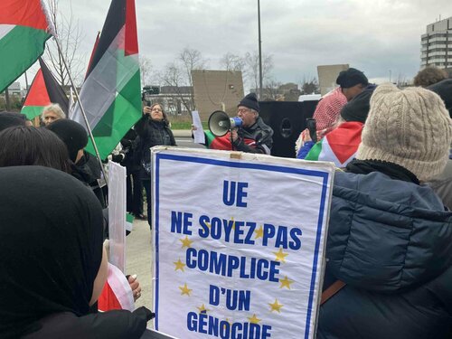 Photo de manifestants contre gnocide  Gaza en janvier 2024  Strasbourg.