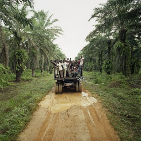 exemple transport d'ouvriers dans plantation de palmiers à huile au Cameroun