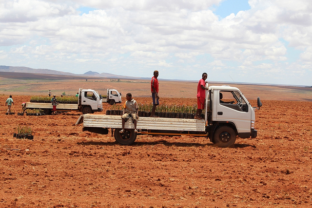 ouvriers agricoles sur le plateau d’Ihorombe, Centre Madagascar