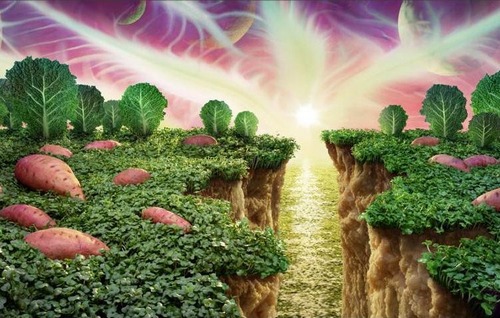 illustration par composition d'image avec feuilles de choux et tubercules sur tapis végétal