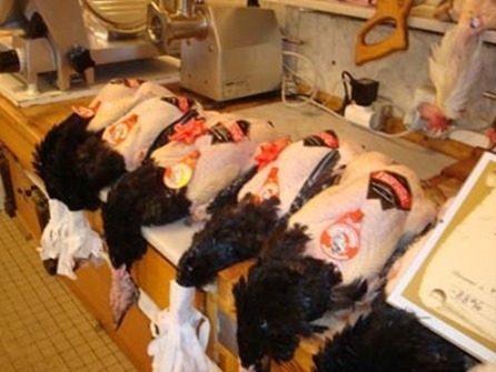 photo de cadavres de dindes alignés sur un établi de boucher-charcutier