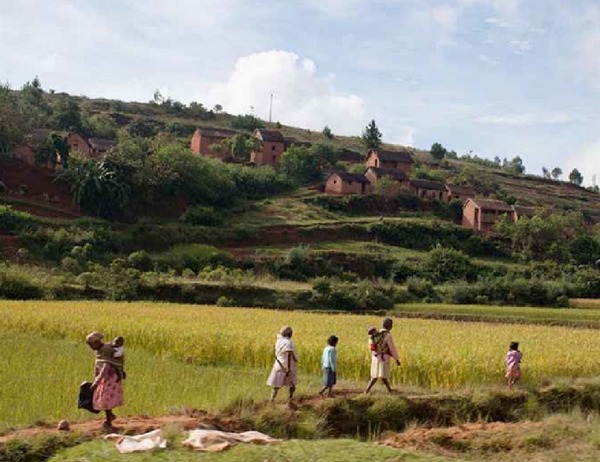 photo de famille malgache traversant champs de culture au pied d'un village
