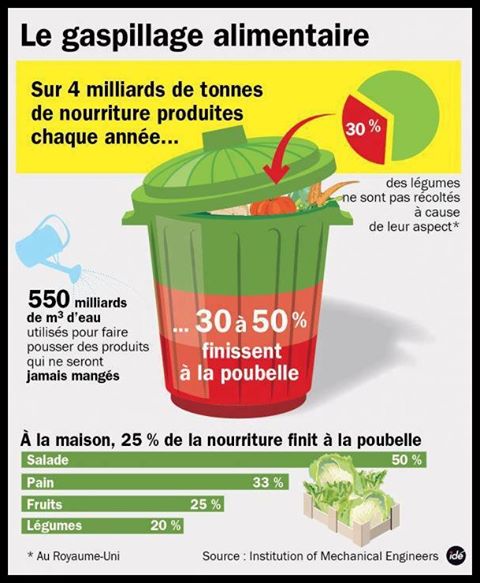 image du gaspillage alimentaire, mondial, avec des chiffres
