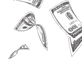 Image animée de pluie de billets de banque.
