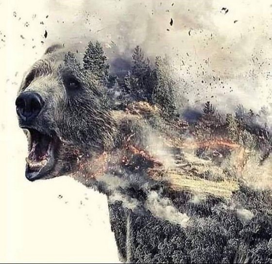 Image composée de grizzli semant tempête dans environnement.