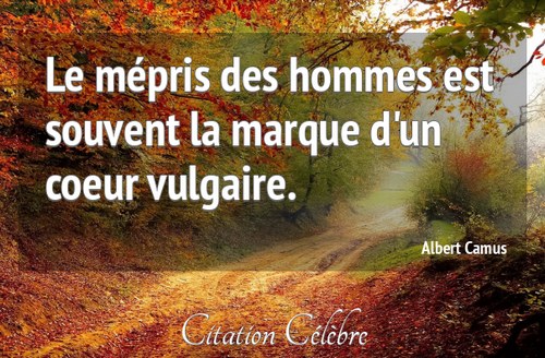 Image composée avec une citation de Albert Camus sur fond photographique de chemin forestier.
