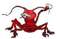 Image animée de langouste rouge se grattant antenne.