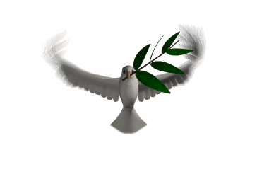 symbole_paix-citadelle-du-monde, colombe de Paix, tenant branche de laurier sur fond blanc.