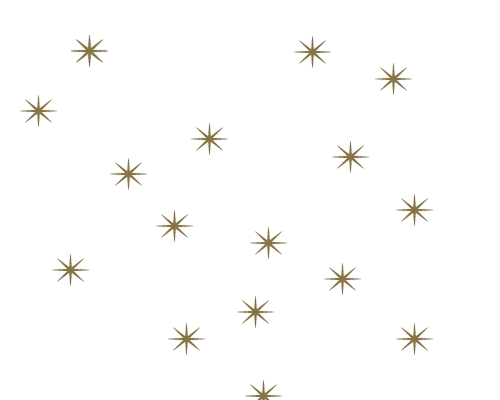 image symbole pour Quatre-vingt cinq étoiles de vie