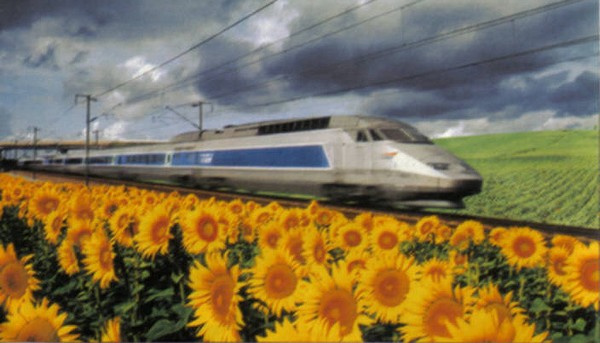 symbole_le-train_rah, train TGV passant devant champ de tournesols