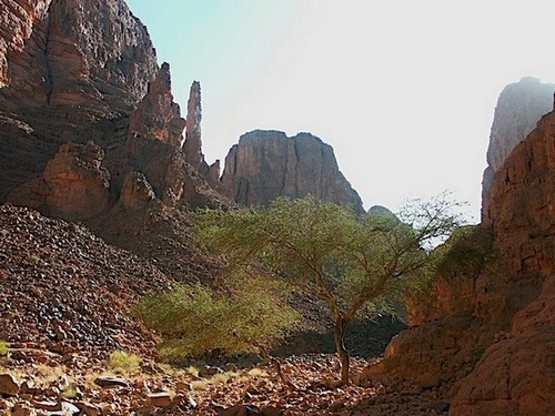 photo de d'un talweg en Algérie avec éboulis, pics de roches et arbres.