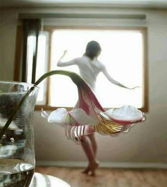 Photo de femme en robe blanche devant fentre et fleur.