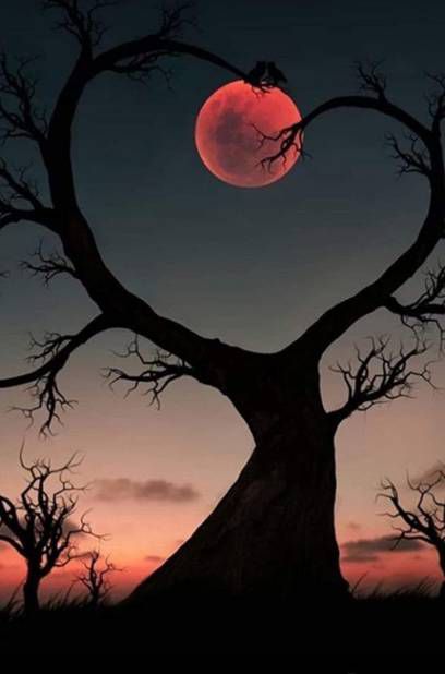 Image d'art, représentant arbre en forme de coeur sous lune rose.